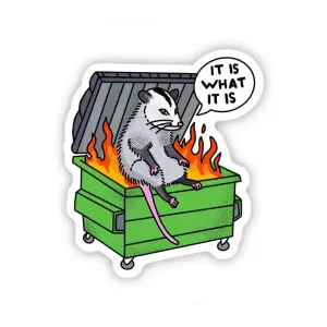 Big Moods Vinyl Sticker "It Is What It Is" Possum