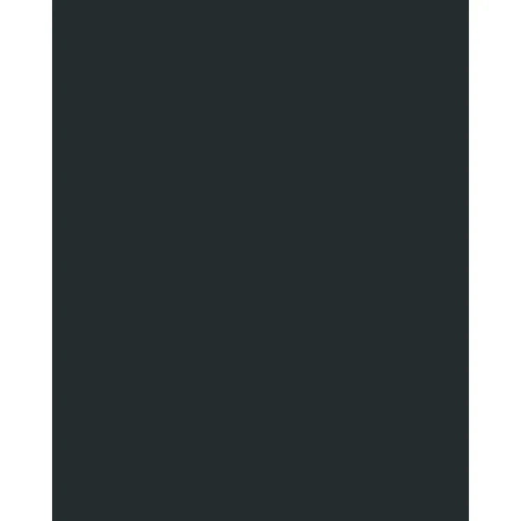 Black Tissue Paper Pictura